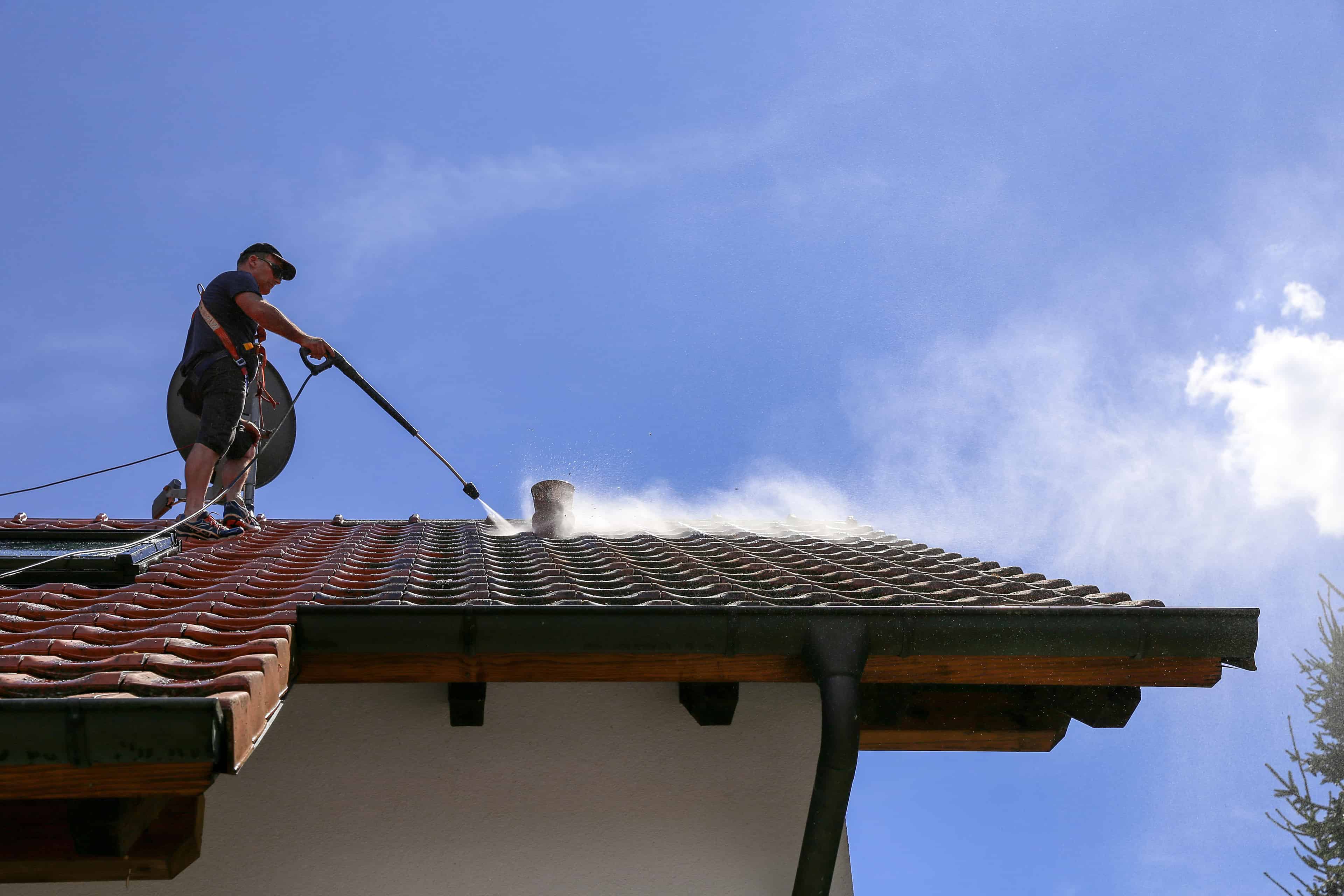 Roof Cleaning image