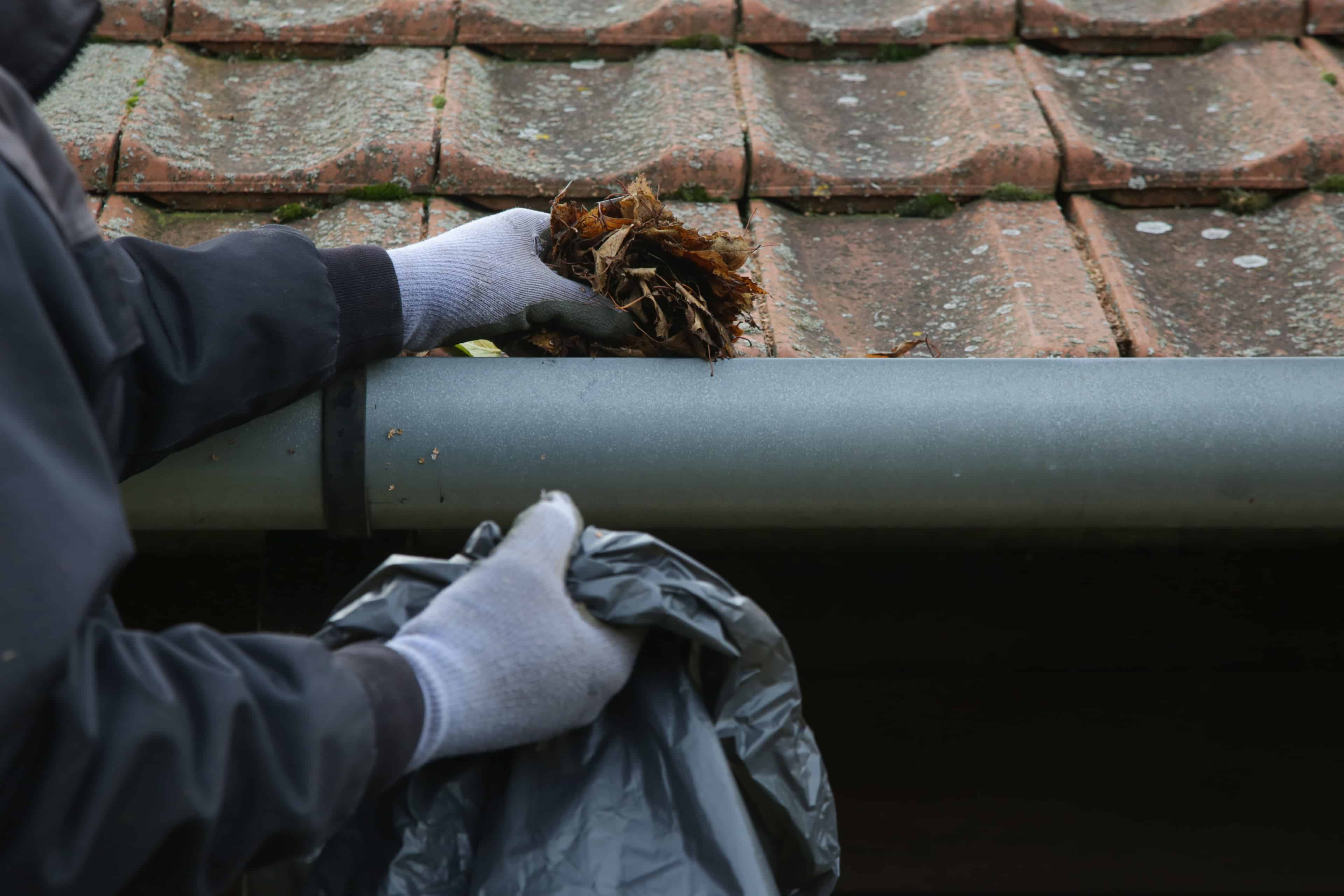 Gutter Cleaning image