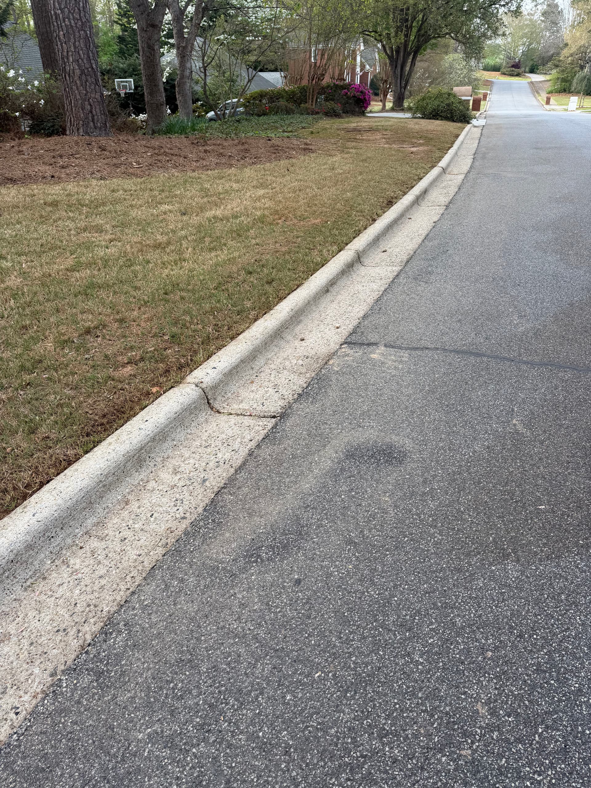 Gallery photos for Clean Street Curbs in Roswell: Image #1